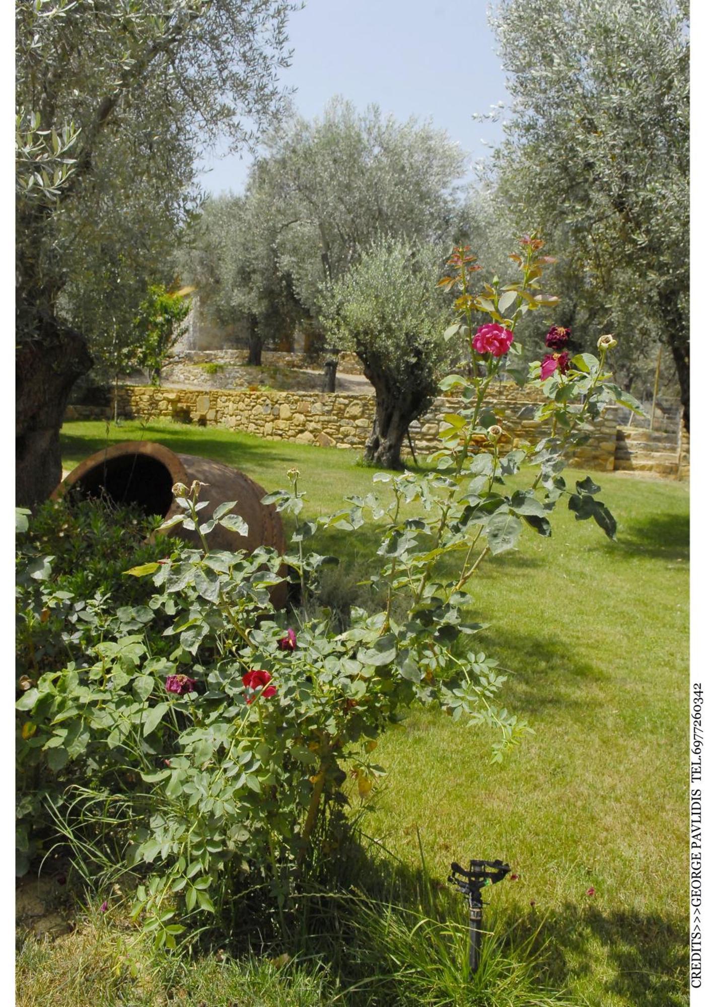 Gera'S Olive Grove - Elaionas Lesvou Hotel Marmaro  Exterior photo