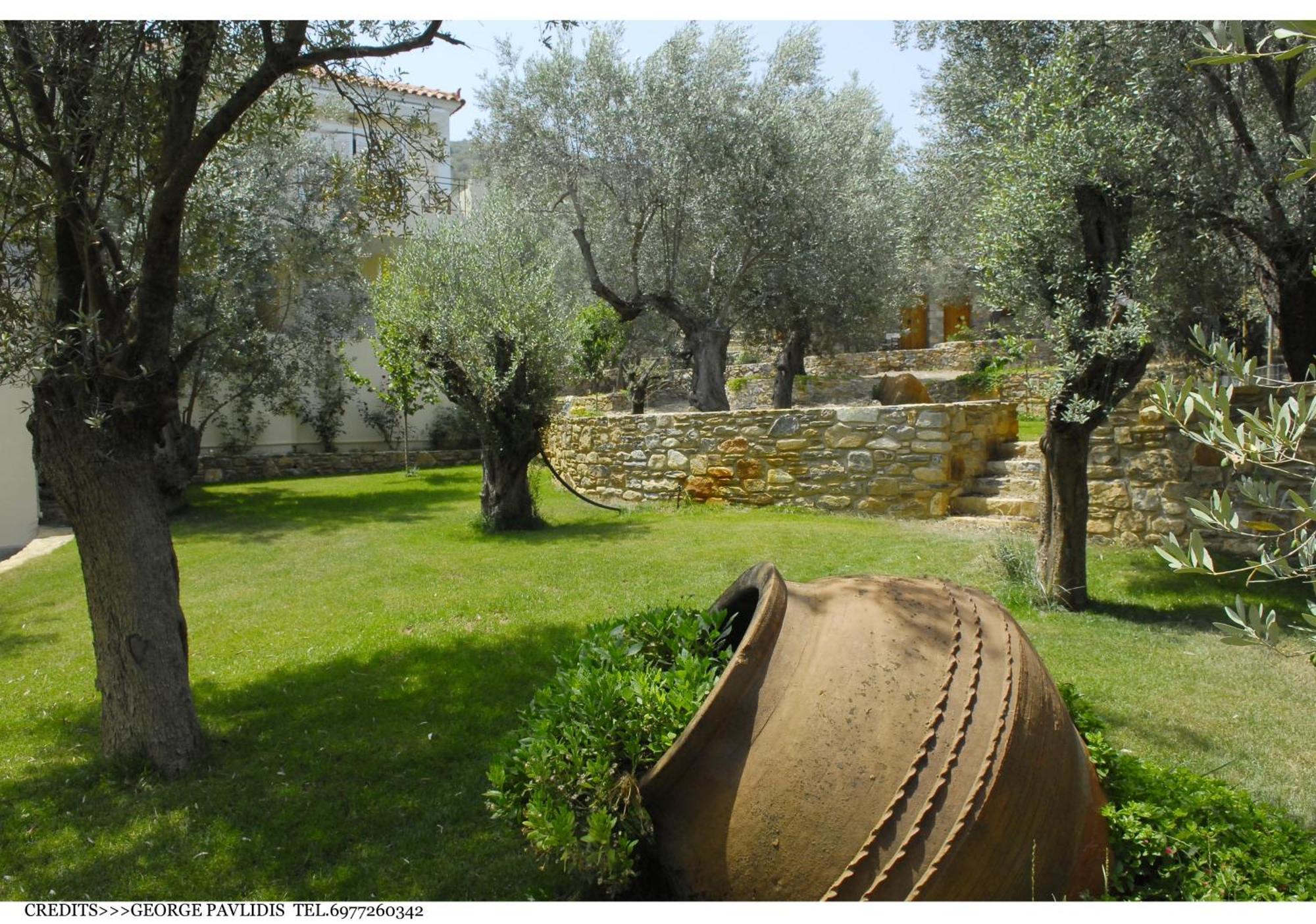 Gera'S Olive Grove - Elaionas Lesvou Hotel Marmaro  Exterior photo