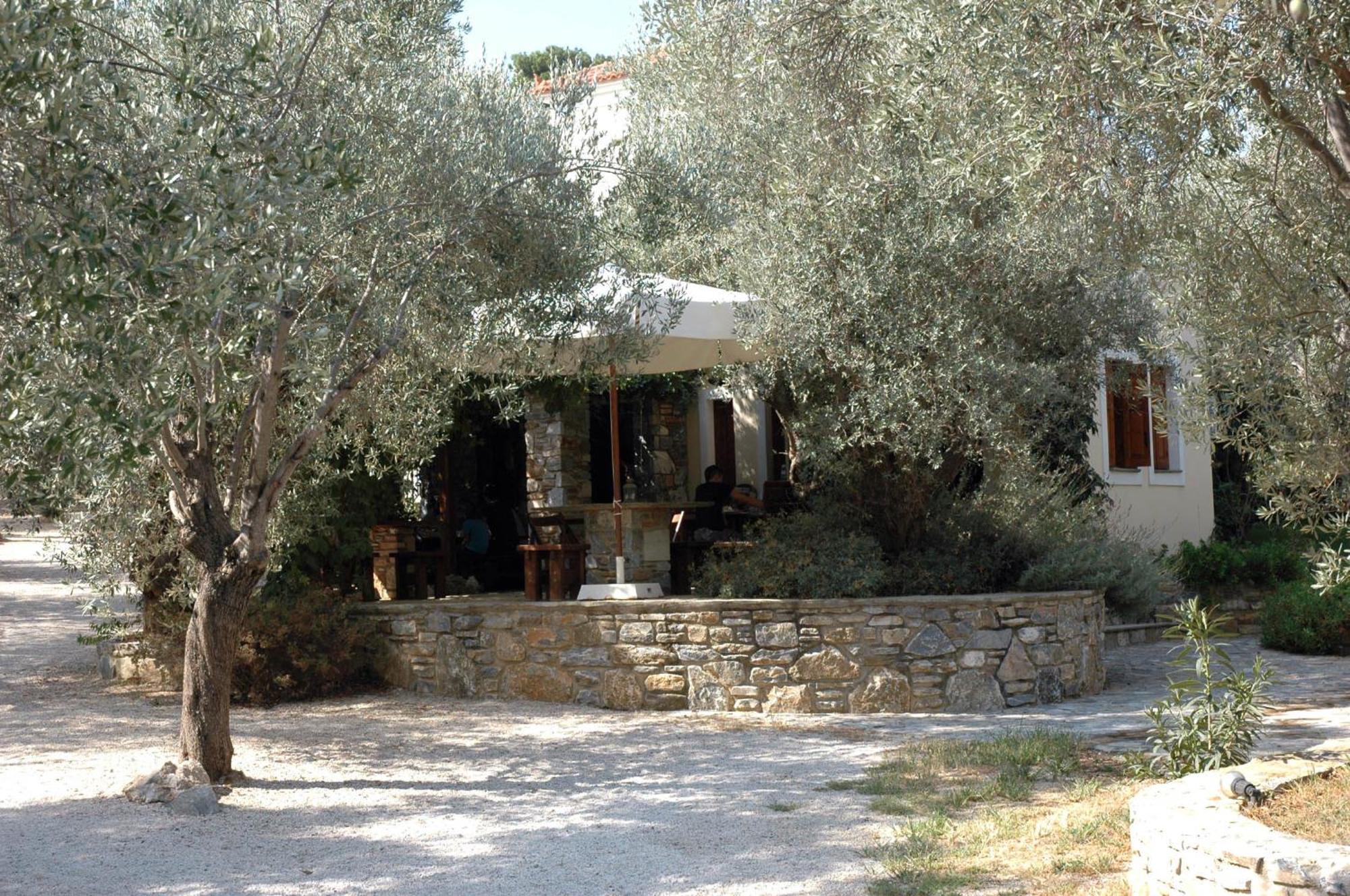 Gera'S Olive Grove - Elaionas Lesvou Hotel Marmaro  Exterior photo