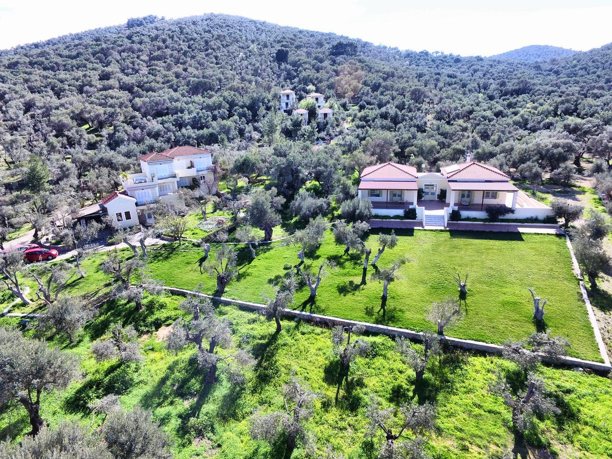 Gera'S Olive Grove - Elaionas Lesvou Hotel Marmaro  Exterior photo