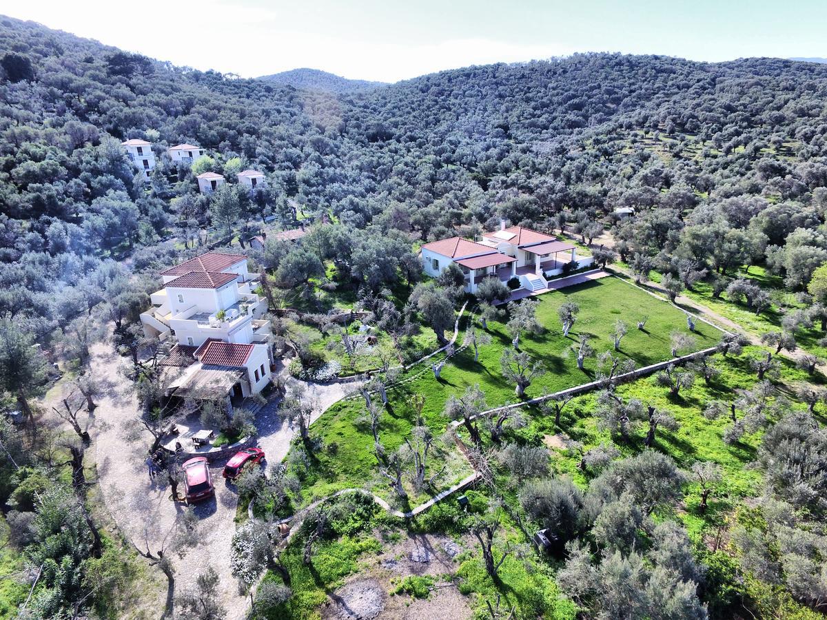 Gera'S Olive Grove - Elaionas Lesvou Hotel Marmaro  Exterior photo