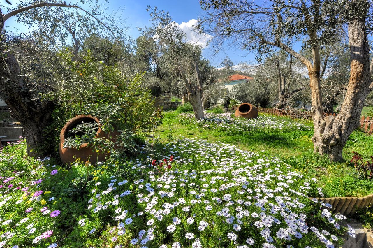 Gera'S Olive Grove - Elaionas Lesvou Hotel Marmaro  Exterior photo