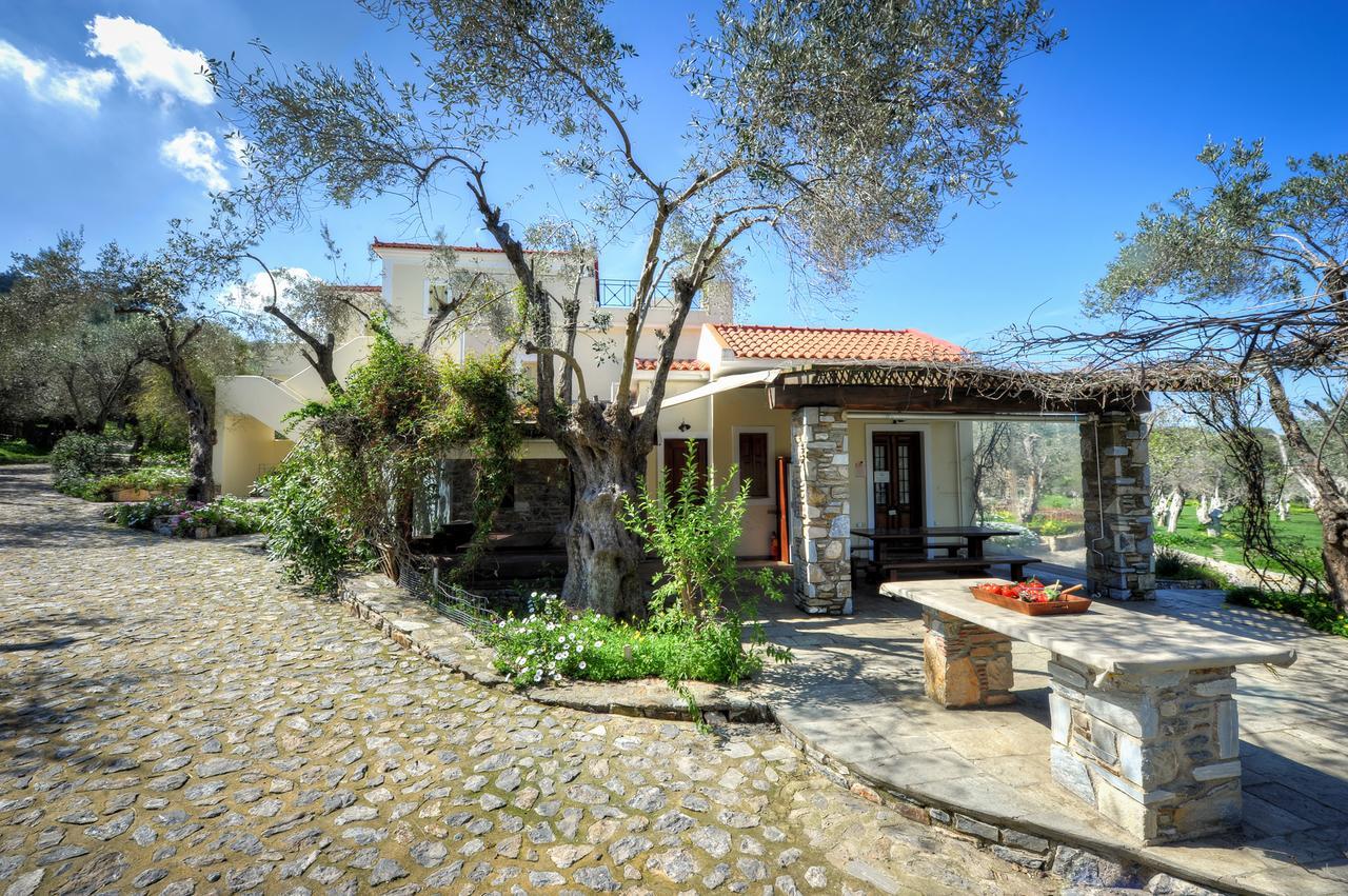 Gera'S Olive Grove - Elaionas Lesvou Hotel Marmaro  Exterior photo