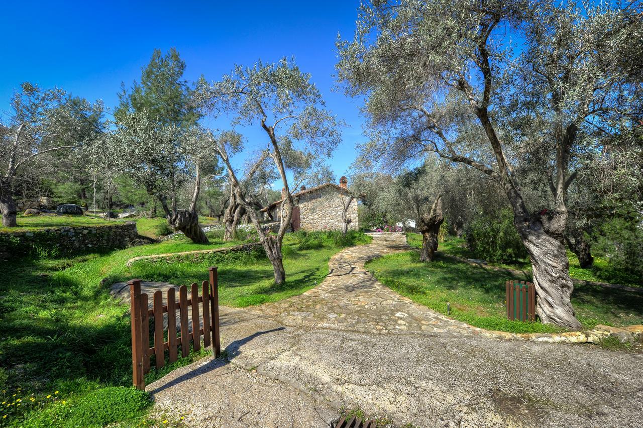 Gera'S Olive Grove - Elaionas Lesvou Hotel Marmaro  Exterior photo